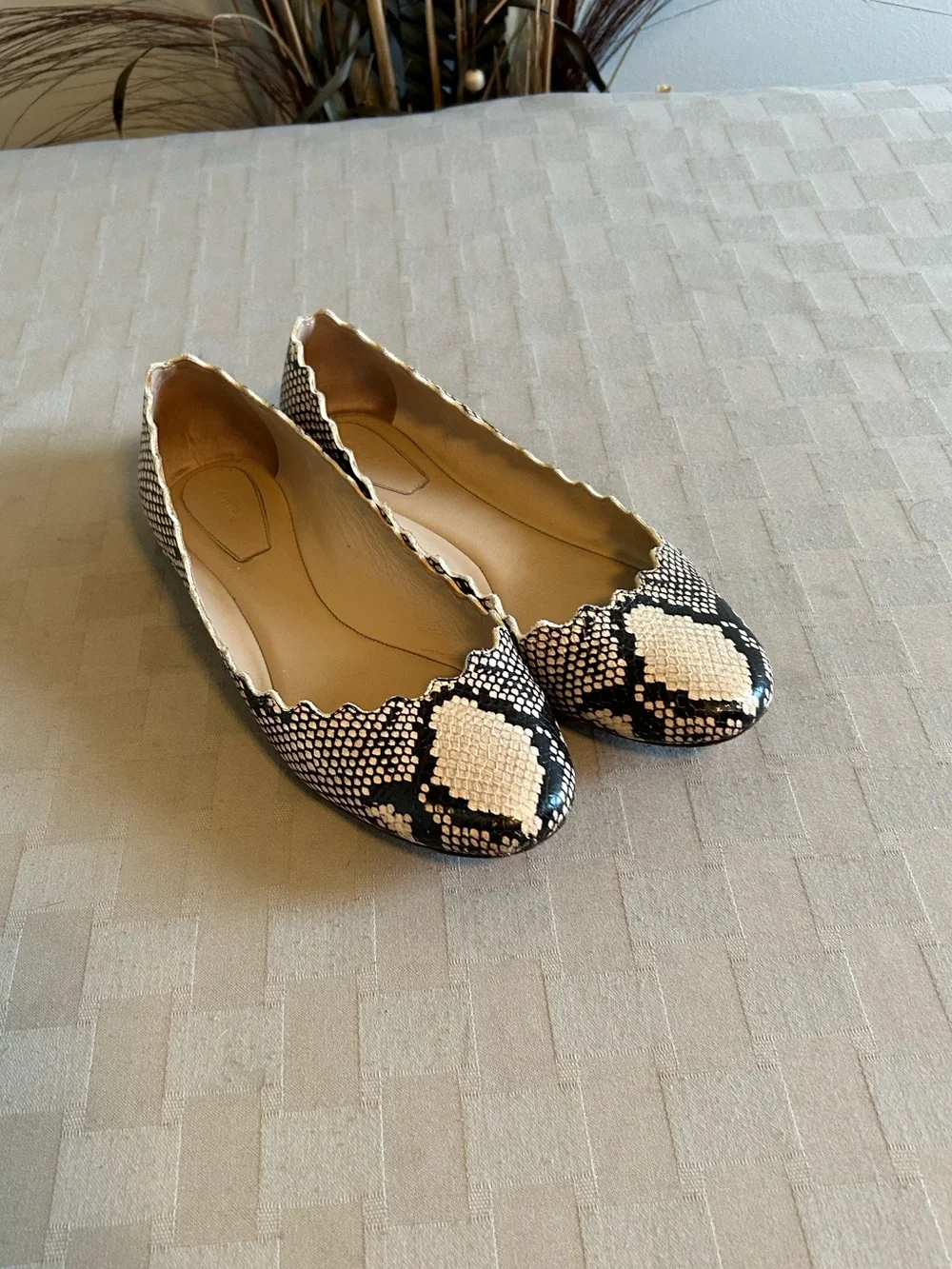 Chloe Lauren Python Embossed Scalloped Leather Ballet Flats
